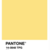 PANTONE MIMOSA